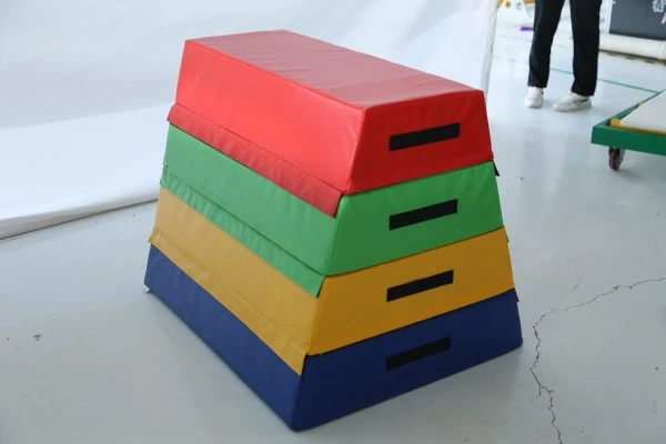 Five Section Spring Jump Box