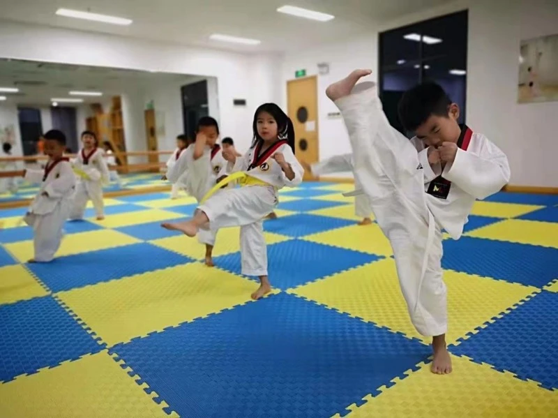 Taekwondo Mat