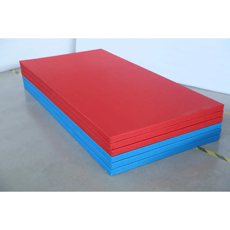 Competition Grade Judo Mat