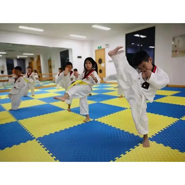 Taekwondo Mat